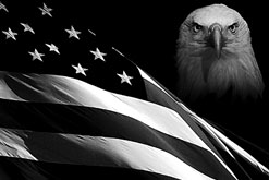 Michael Parenti: USA är på väg mot legal fascism