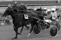 Inför Elitloppet: Heja Norge!