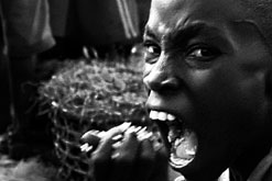 En kaotisk inblick i Afrikas mardröm