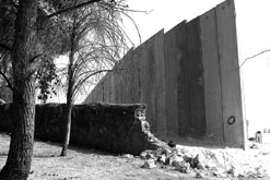 TT-skribent: Israeliska UD påverkar medierna