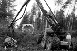 Många saknar ström men nyårsstormen blev ingen ”Gudrun 2”