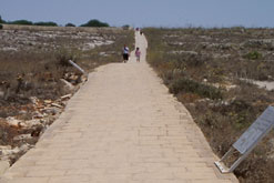 Tiden står stilla för kvinnorna på Malta