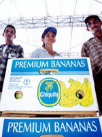 Vem vill äta Chiquitas blodbesudlade bananer?