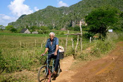 Jordbruk utan olja i Viñales