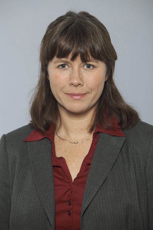 Inget förbud mot subventionerad kärnkraft