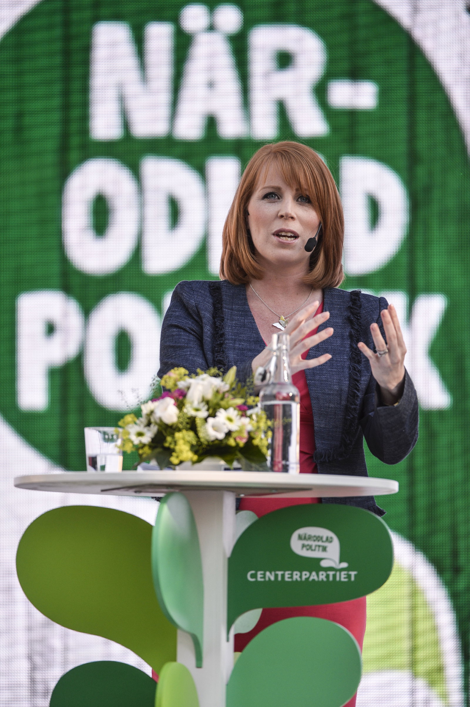 Nyliberalism och miljöpolitik