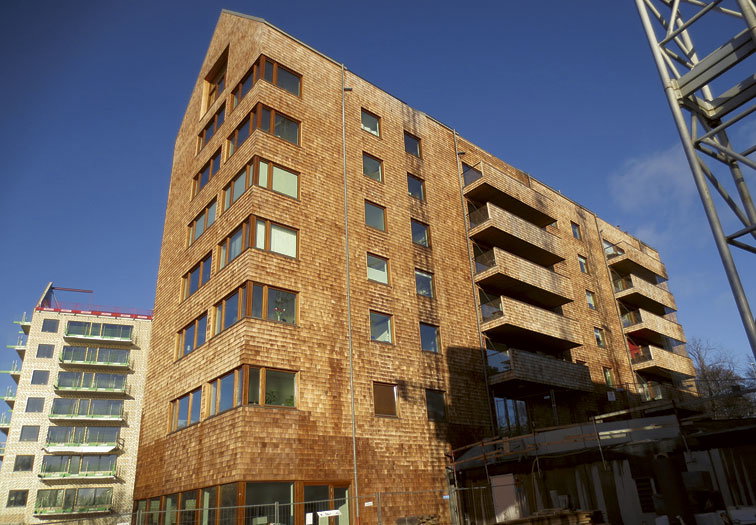 Eko-ekogruppen har långt kvar, men borde ge mer eko