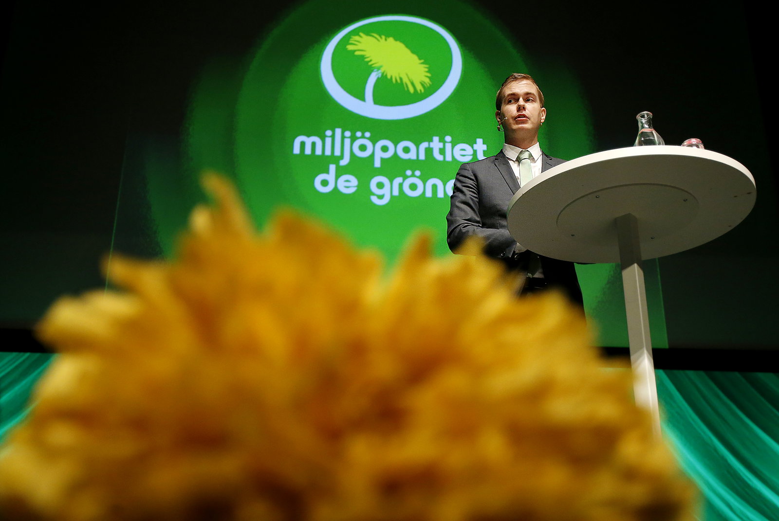 Miljöpartister kräver fredsdepartement