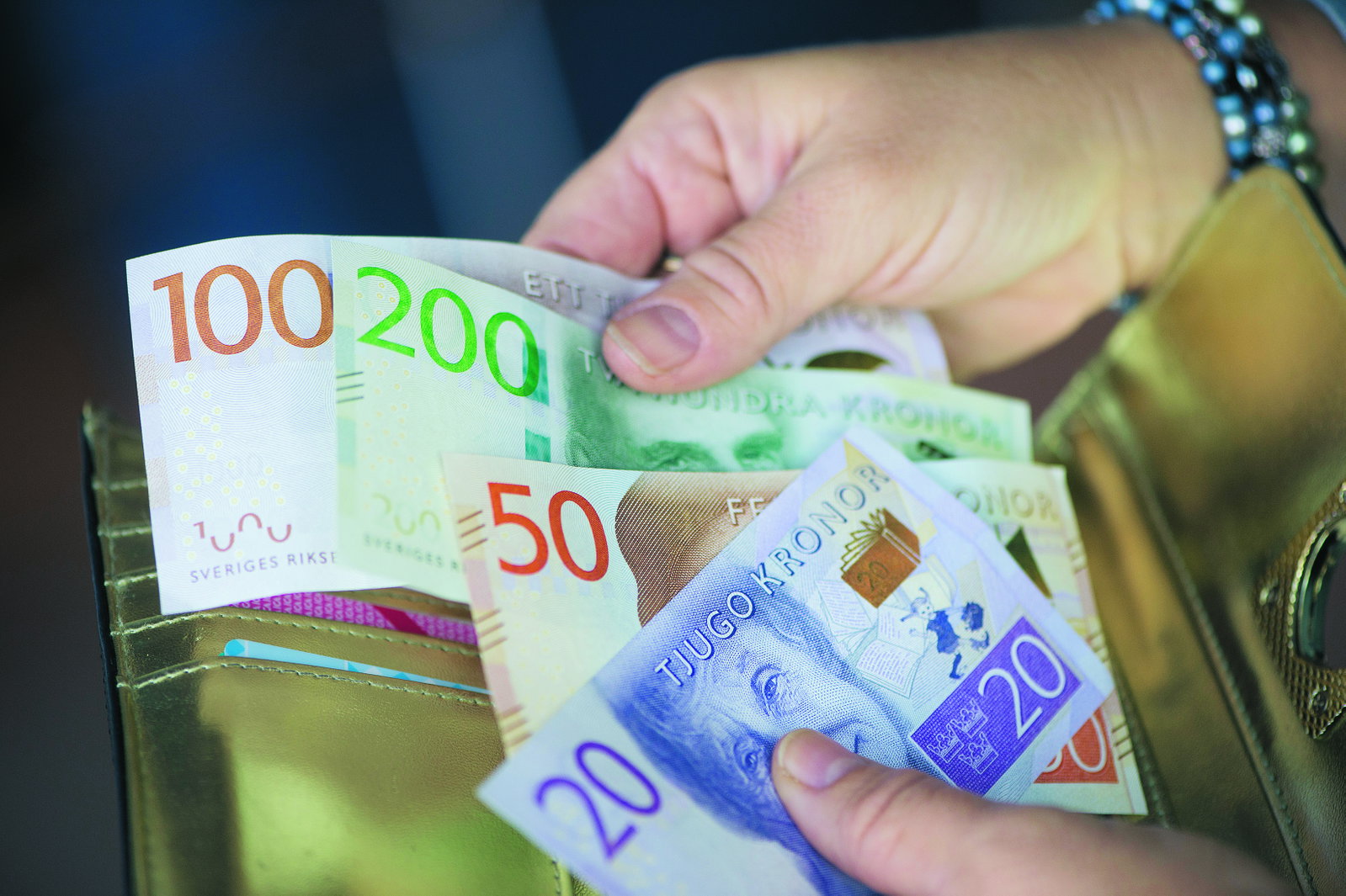 Basinkomst löser inte vår försörjning