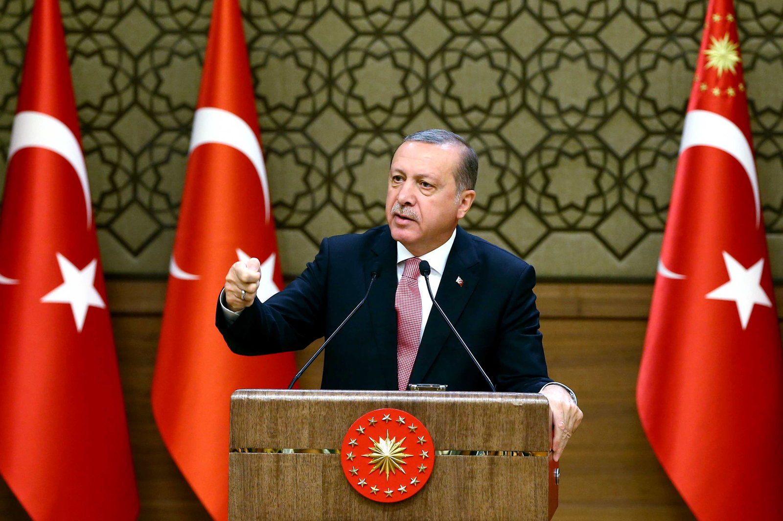 EU:s kritik mot Erdogan ekar tomt