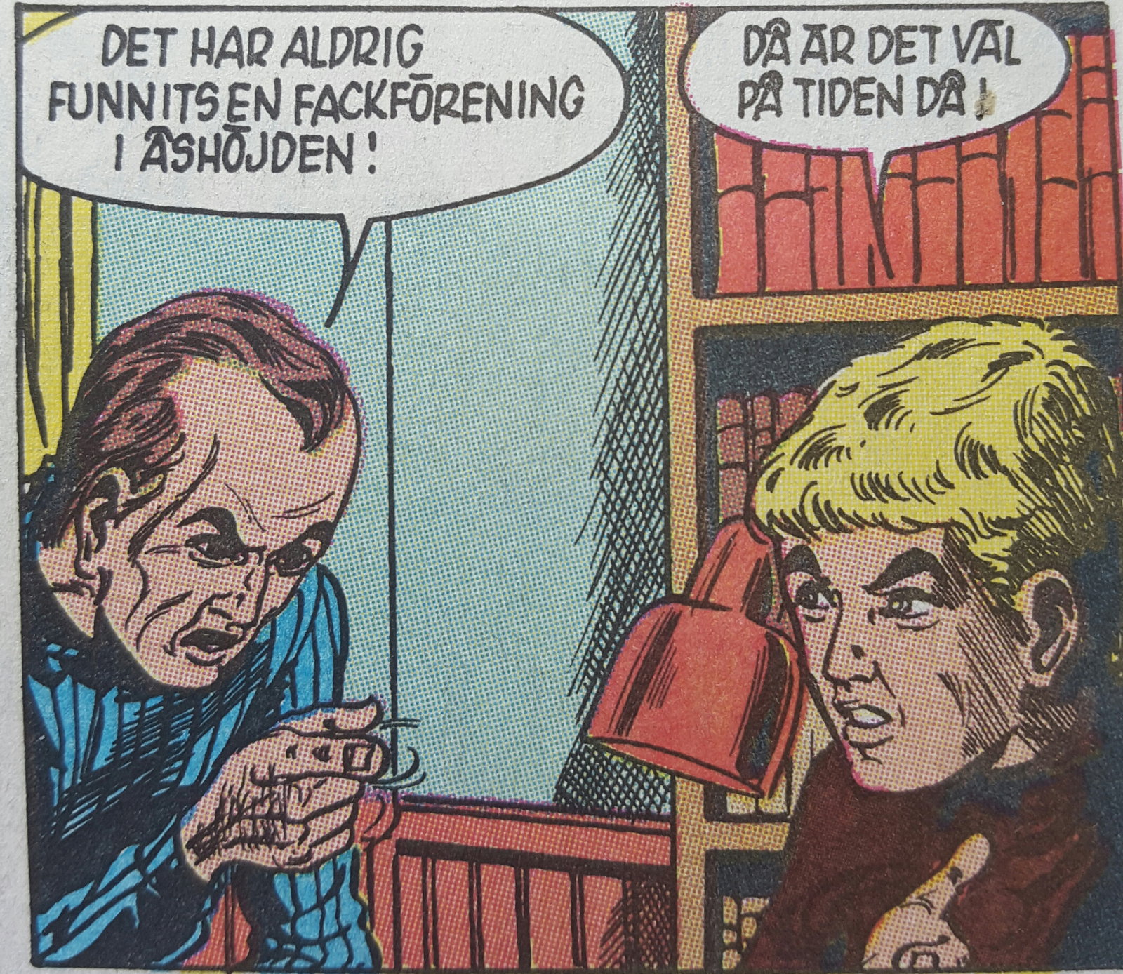 Socialdemokratisk fotboll