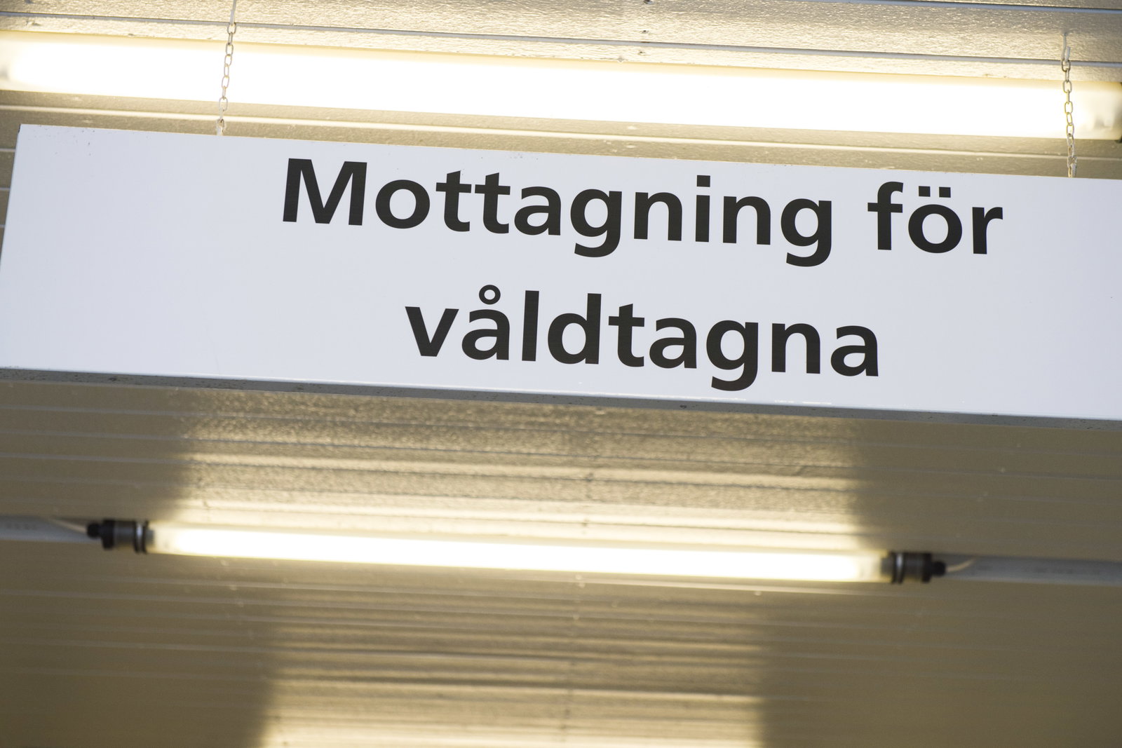 Skuldbefriande forskning