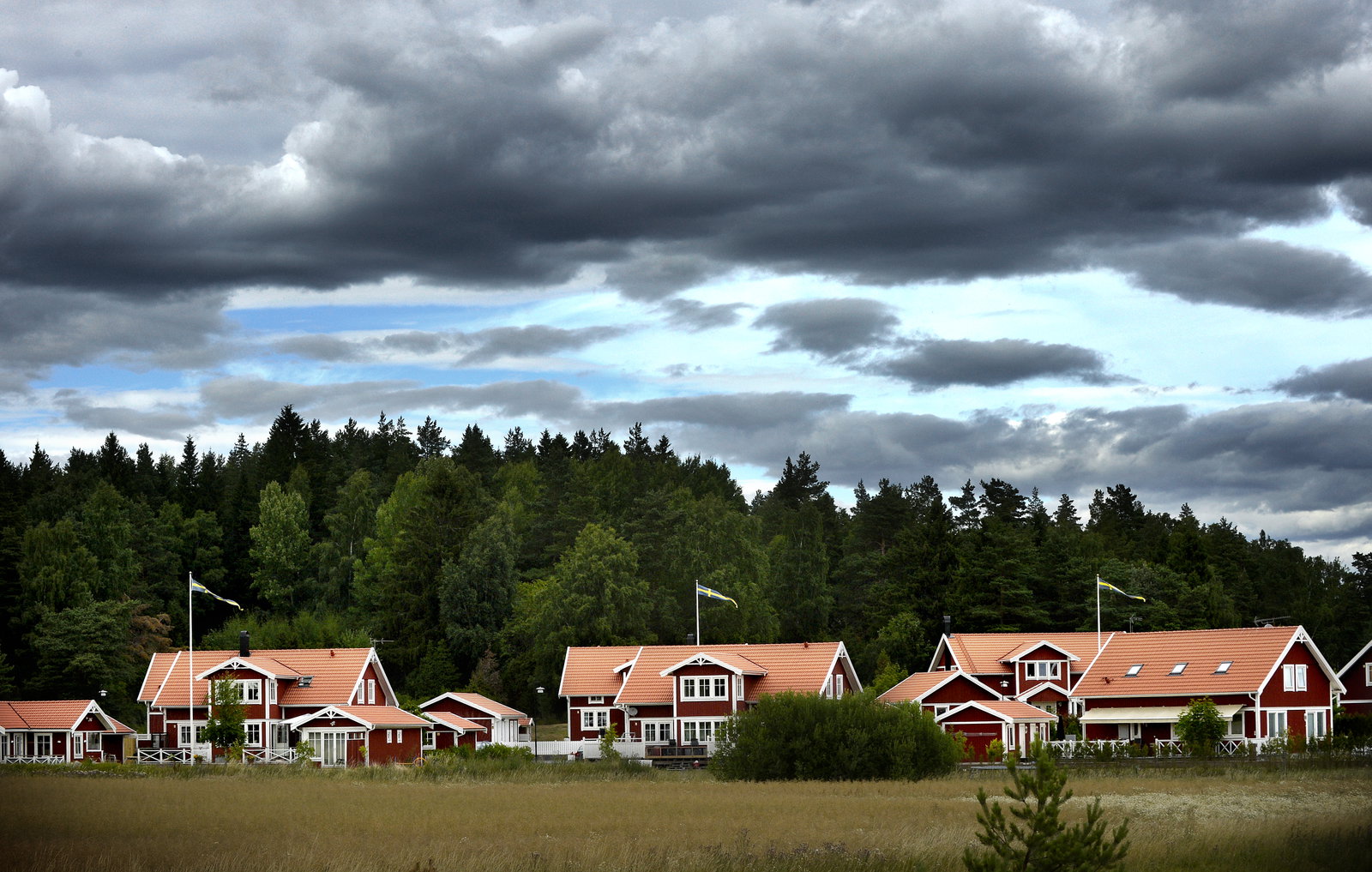 Straffa kommuner som bryter mot lagen