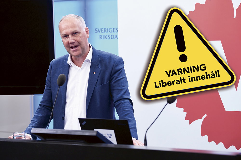 Liberaler borde rösta på Vänsterpartiet