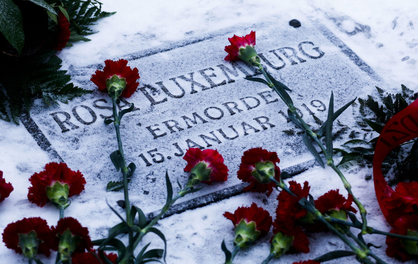 100 år av kamp och svek