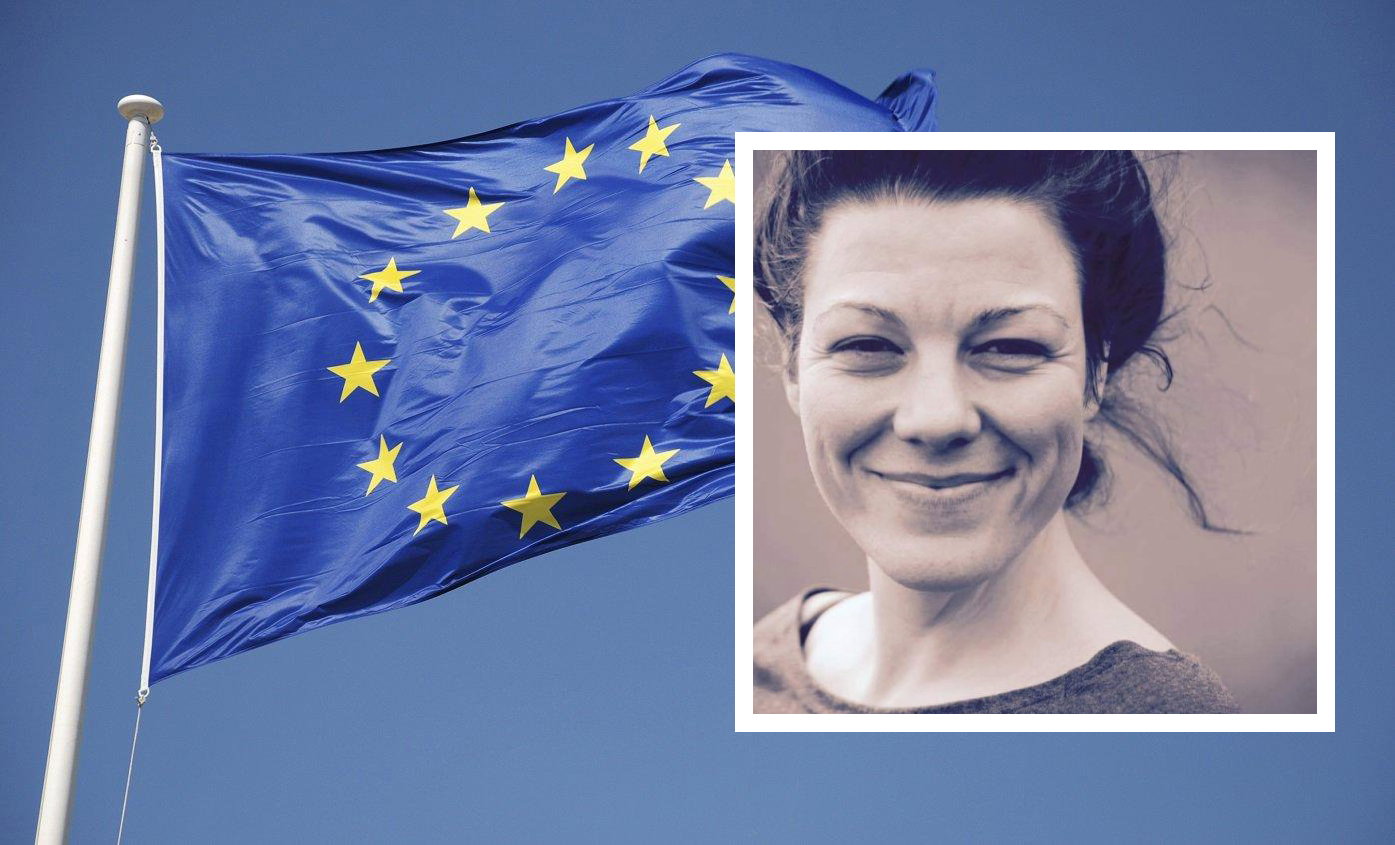EU-valplattformen är för defensiv