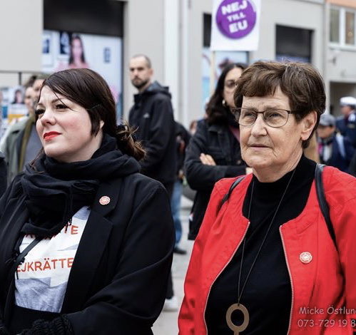 EU-valet är ett ”skitval” – och just därför ska du rösta