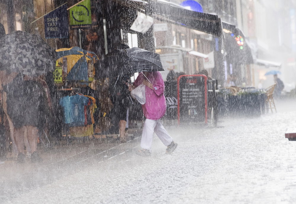 Det politiska språkets betydelse