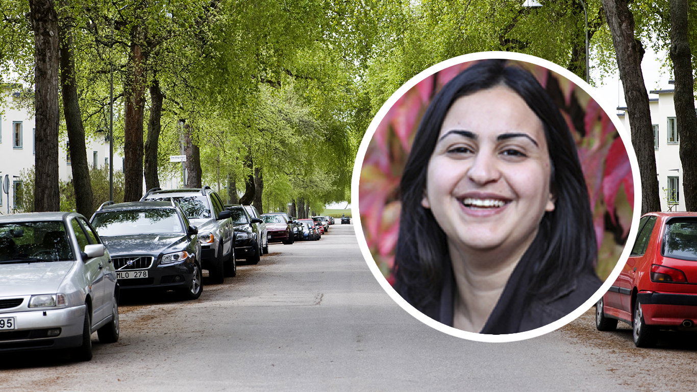 Klimatforskaren: “Det som dödar folk är inte höga temperaturer i sig utan bristen på samhällsservice”