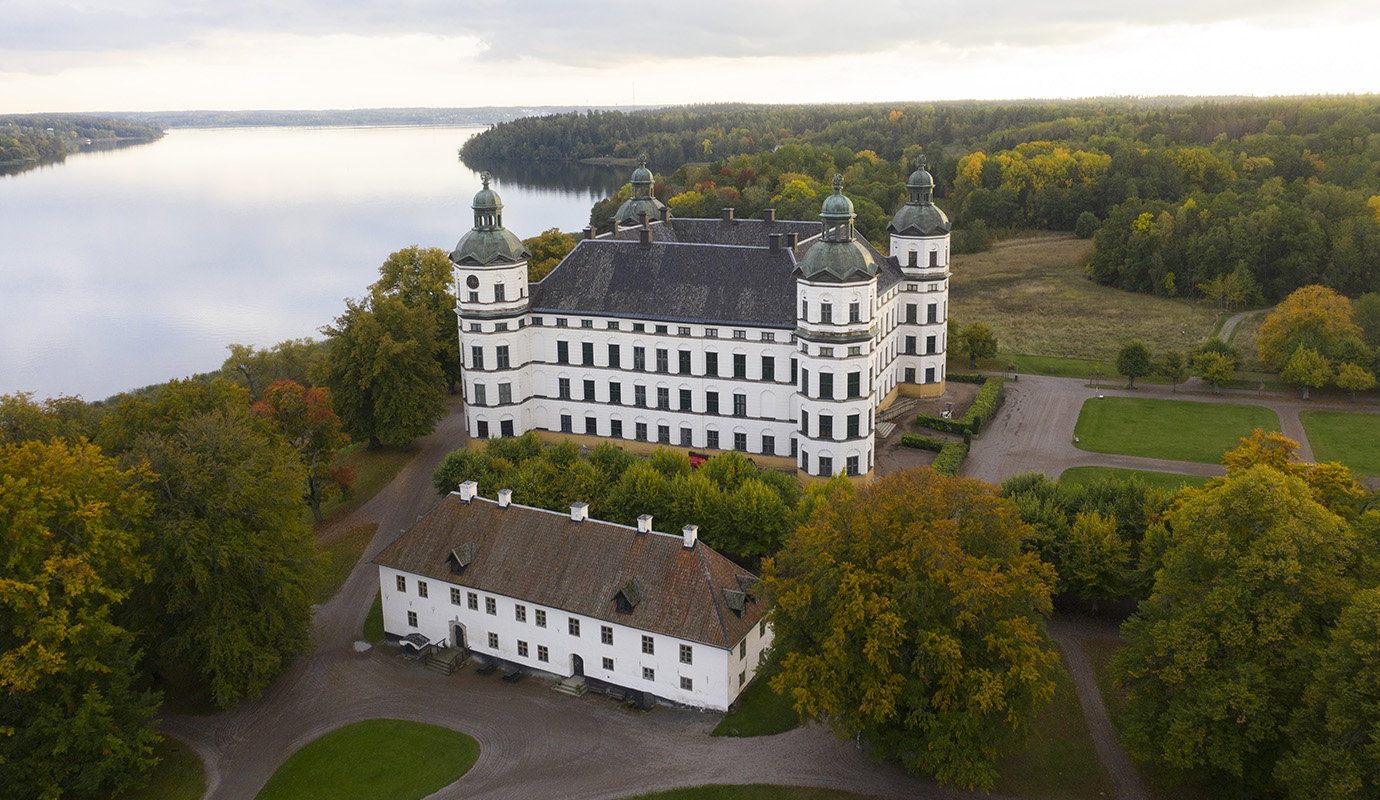 Så kan SD radikaliseras av sina gräsrotsmedier