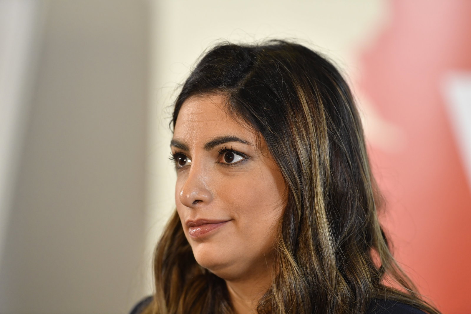 14 vänsterpartister kritiska mot Dadgostars TV4-uttalande: ”Någon ordning måste det vara!”