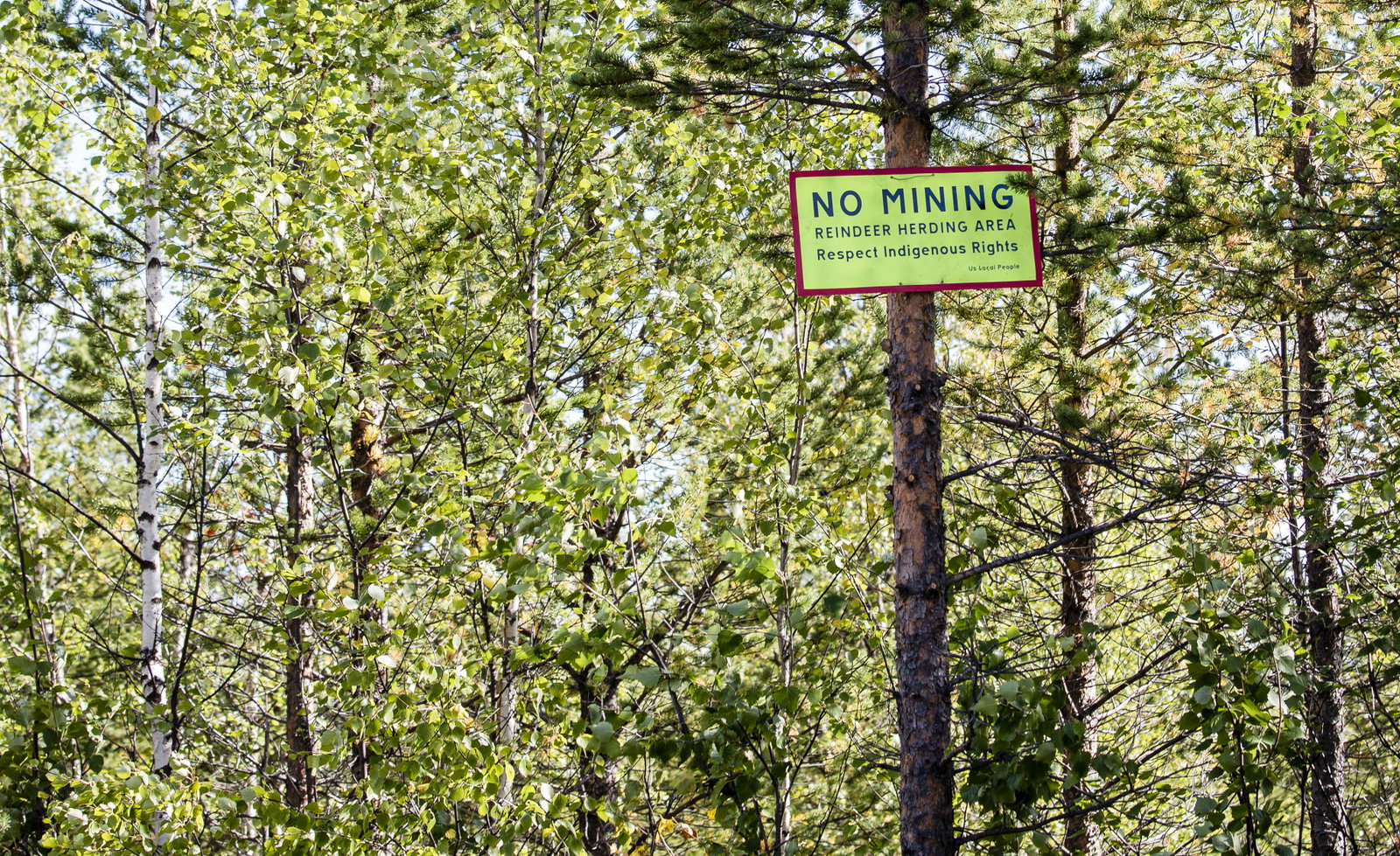 V(i) i Norrland säger nej till Kallak-gruvan