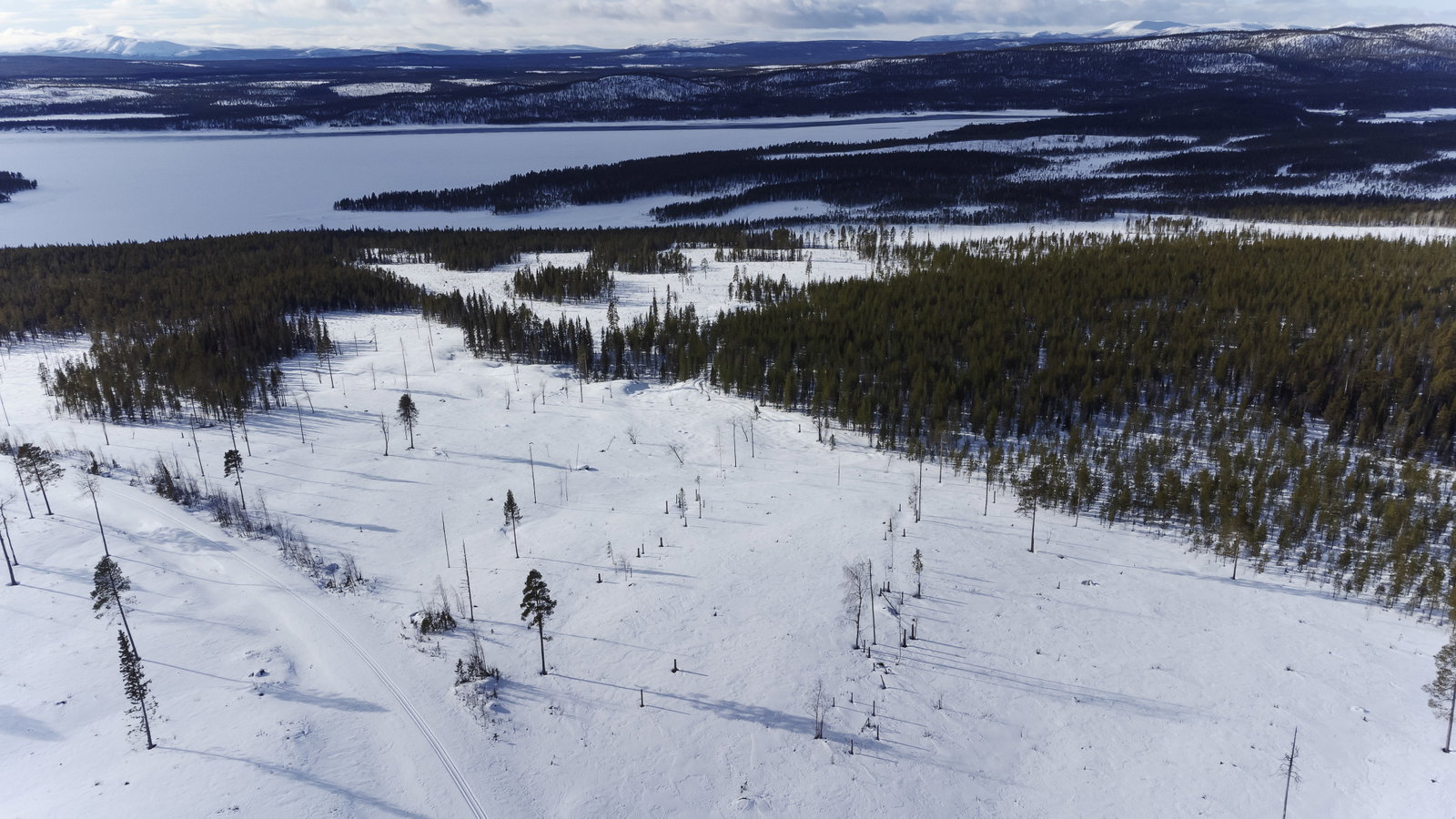 Regeringens villkor för att bevilja bearbetningskoncession av Kallak nr 1