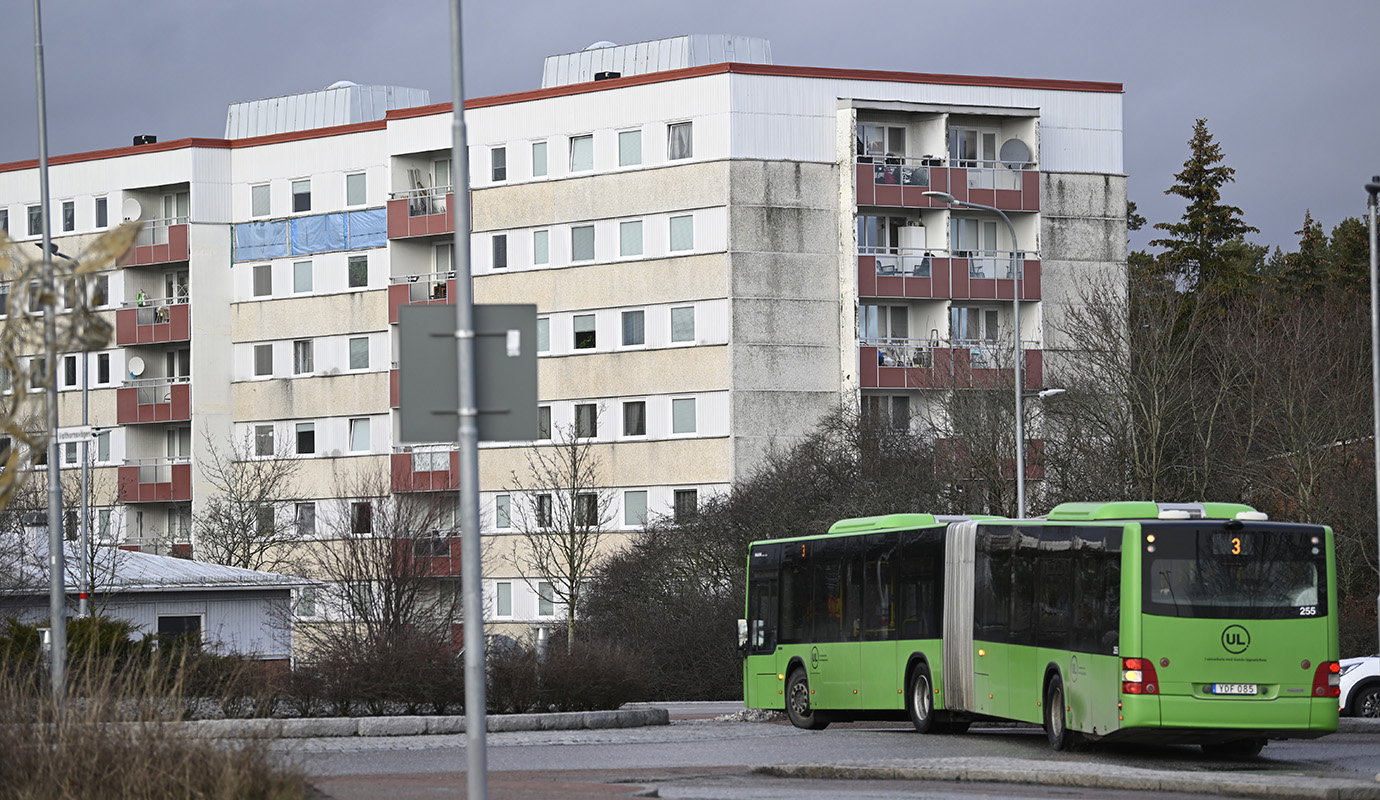 Karim Jebari: Rika majoritetssvenskar driver på segregationen