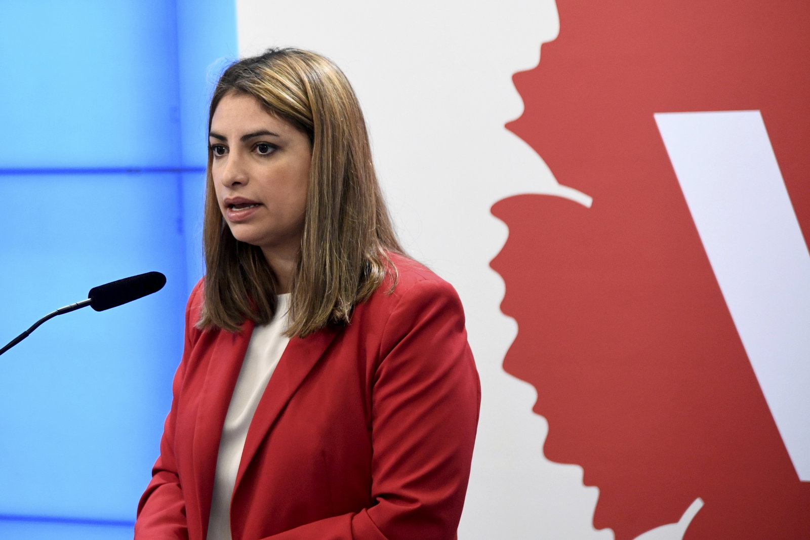 Vänsterpartiet redo att utmana EU om elpriserna: ”Självklart”