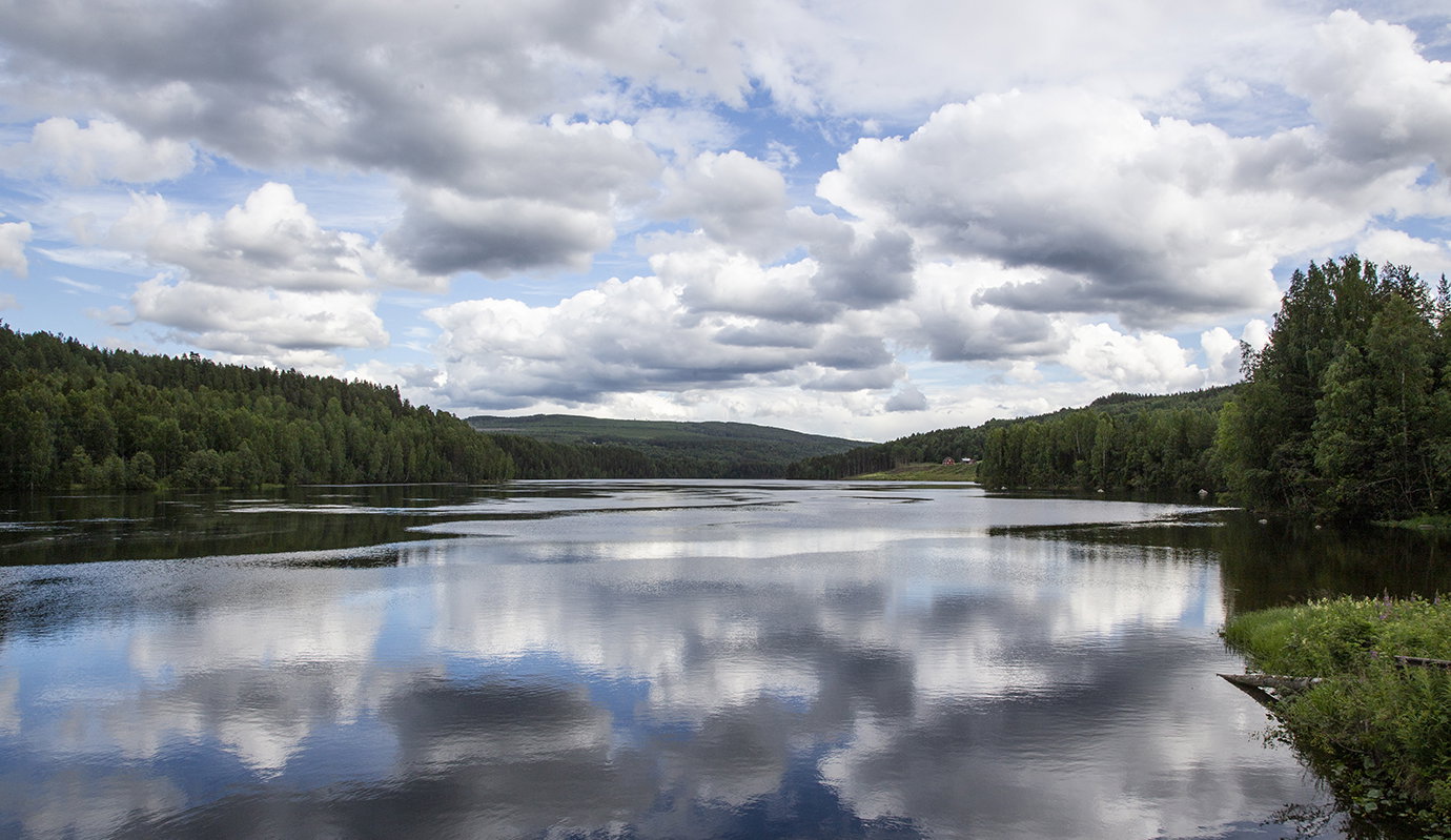 Inget parti tar naturkrisen på tillräckligt allvar