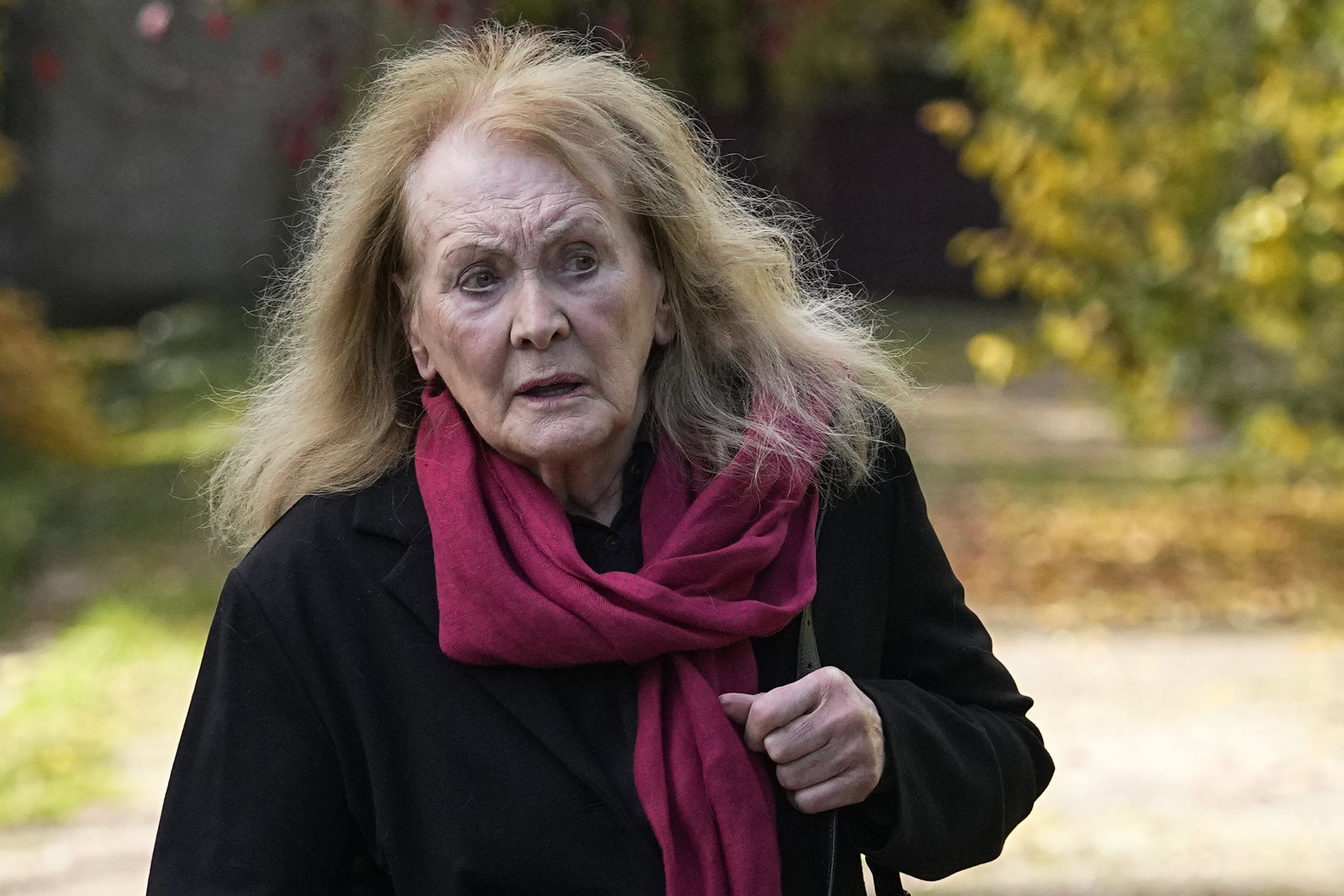 Klasskildraren Annie Ernaux får litteraturpriset: “Vackert och pang på”
