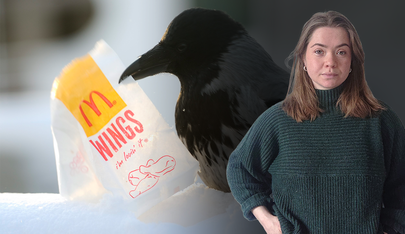 Nora Wurtzel: För Göteborgspolitikerna blir vintern varm