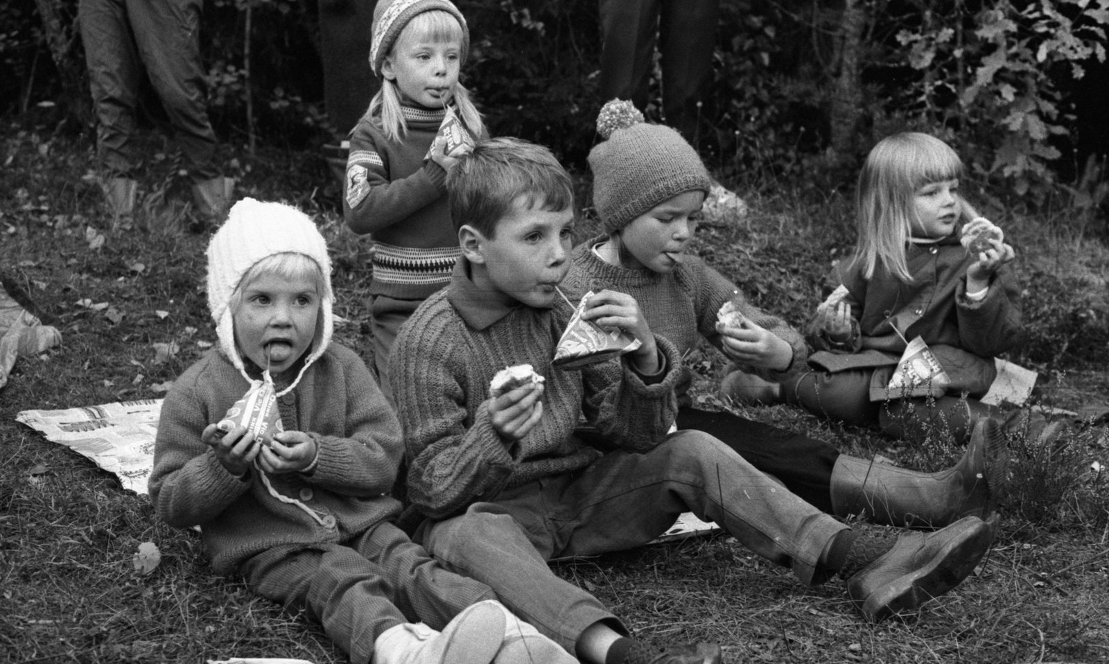 Skogsmulleskola