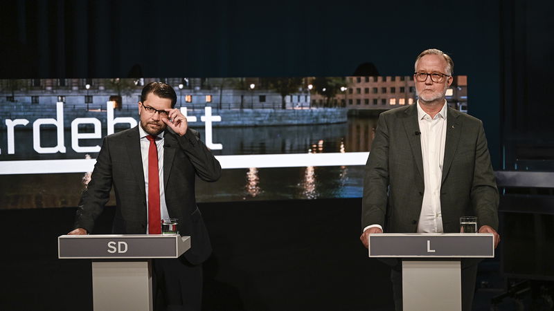 Åkesson återställer sin roll som ”sjuklöverns” enda opposition. Foto: Pontus Lundahl/TT.