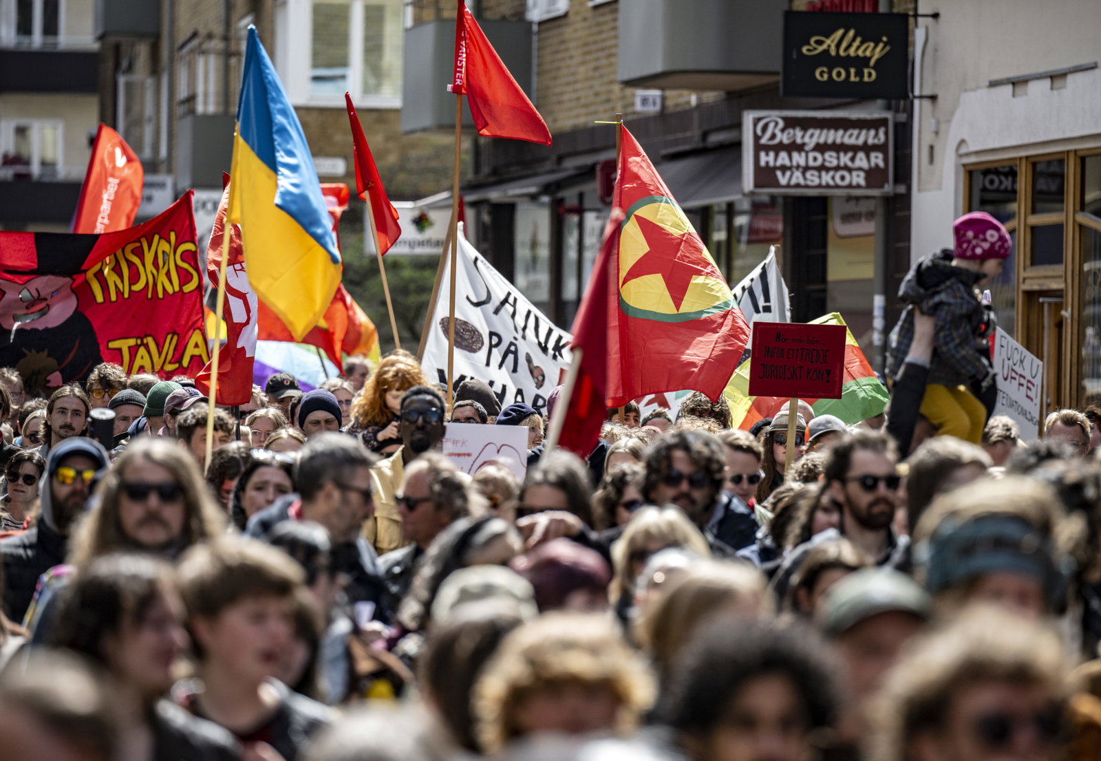 Tolv förslag för ett socialistiskt Sverige