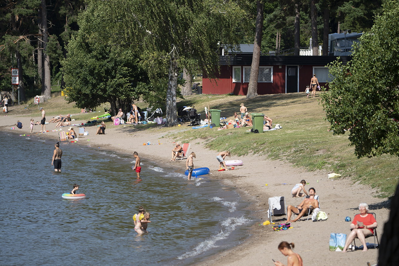 Johan Pehrson har förstört min sommar