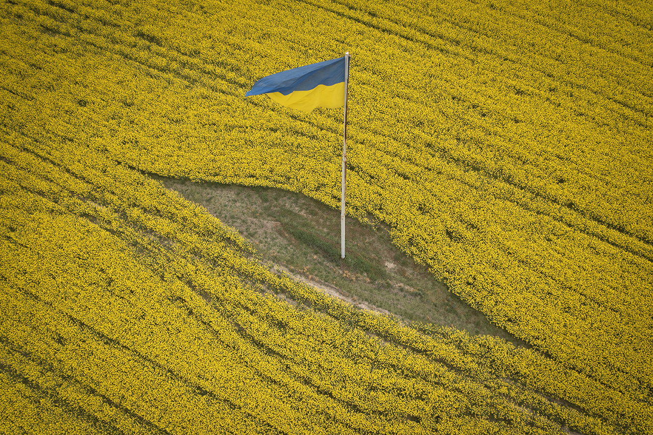Nordisk grön vänster: Solidaritet med Ukraina