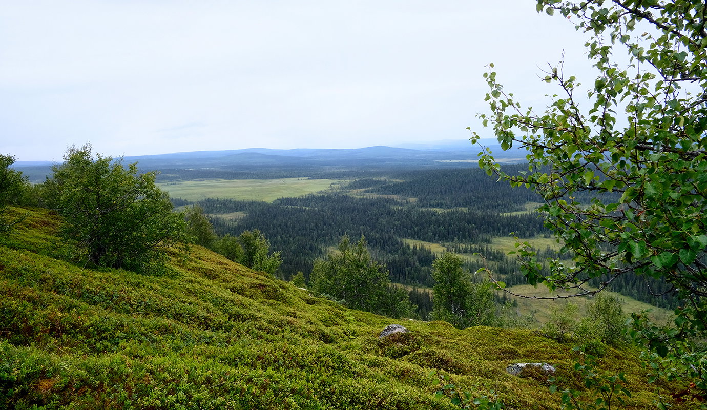 Svenska fjällandskap förändras med klimatet