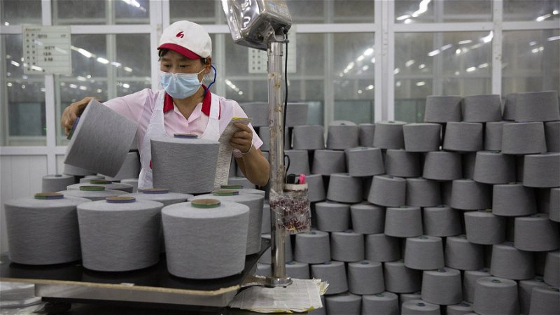 Rapporter om tvångsarbete i den ” självstyrande” regionen Xinjiang har skadat den kinesiska bomullsindustrin. Foto: Ng Han Guan/AP.