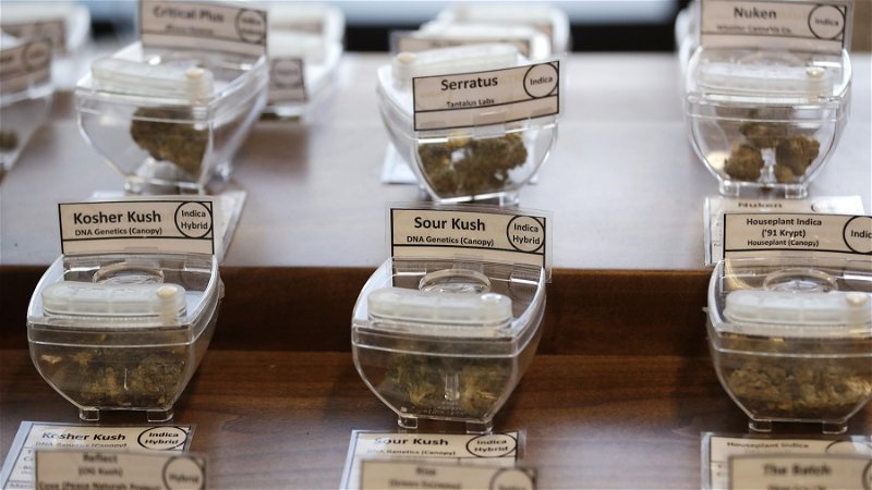 Flera länder har legaliserat cannabis och sett gängens intäkter försvinna. Foto: Elaine Thompson/AP.