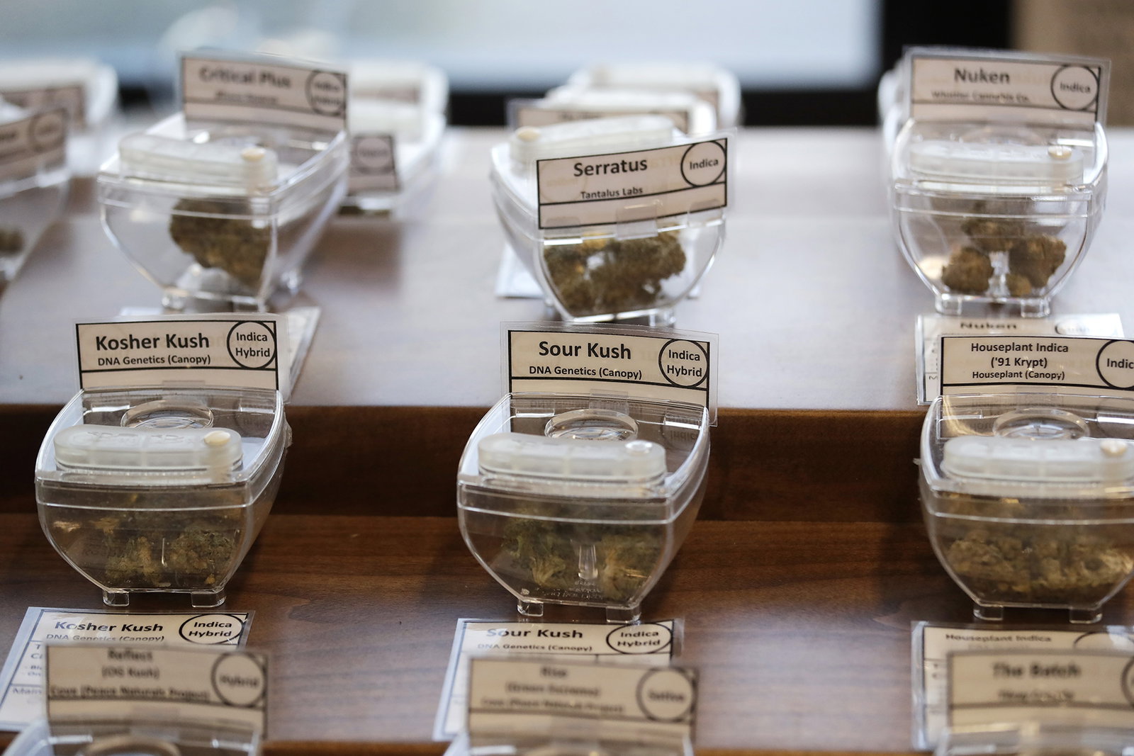 Fegt att inte utreda legalisering