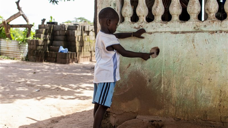 Casamance-regionens civilbefolkning drabbas hårt av konflikterna mellan regering och rebeller, kopplade till den olagliga smugglingen av rosenträ till grannlandet Gambia. Foto: Tilda Kämmlein.