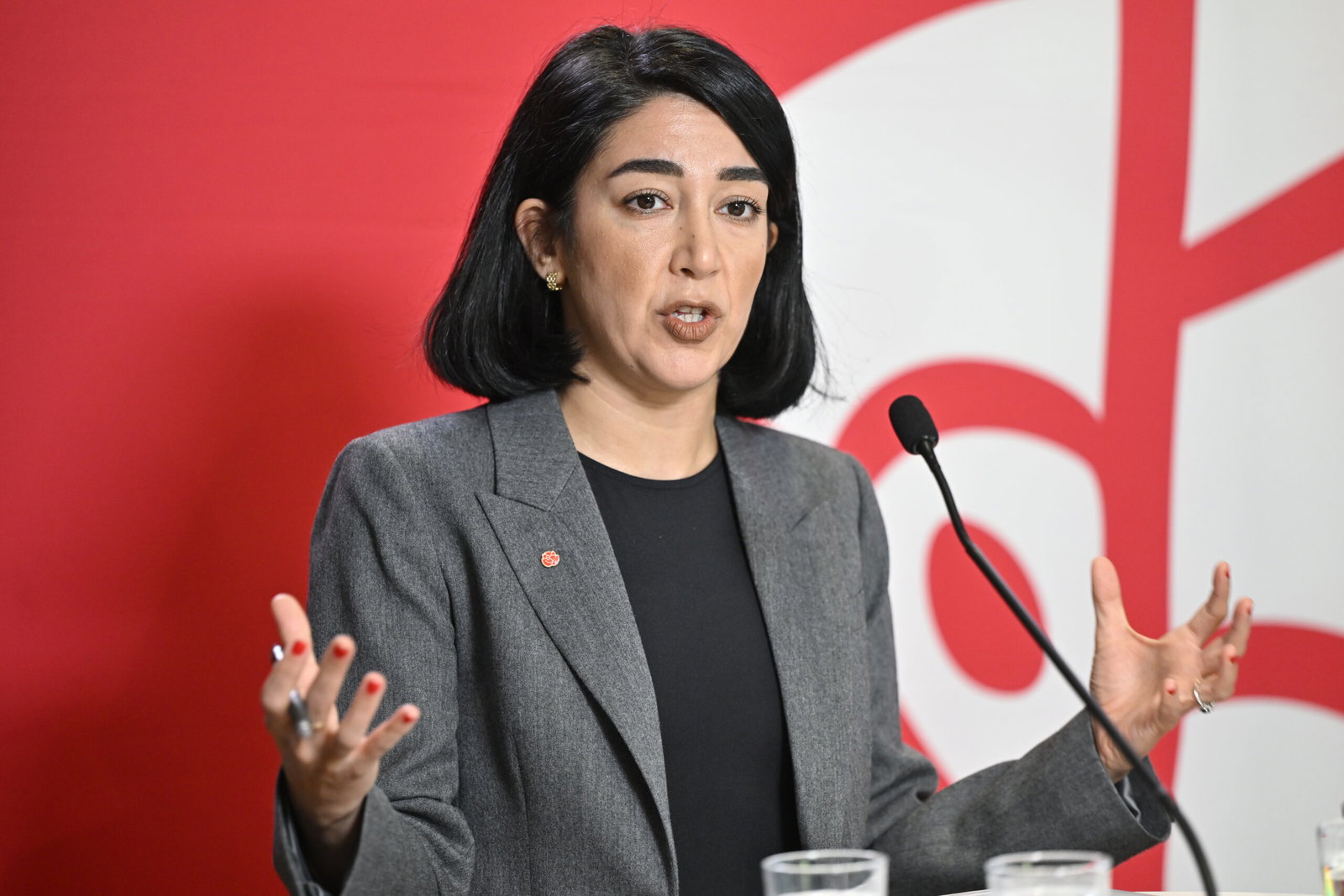 Socialdemokraterna har också deltagit i kulturslakten