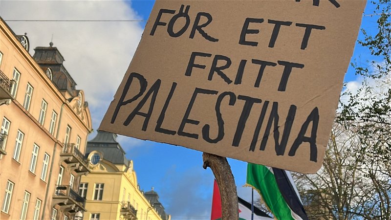 I solidaritet med Palestina. Från demonstrationen i Malmö förra helgen. Foto: Alexandra Loonin.