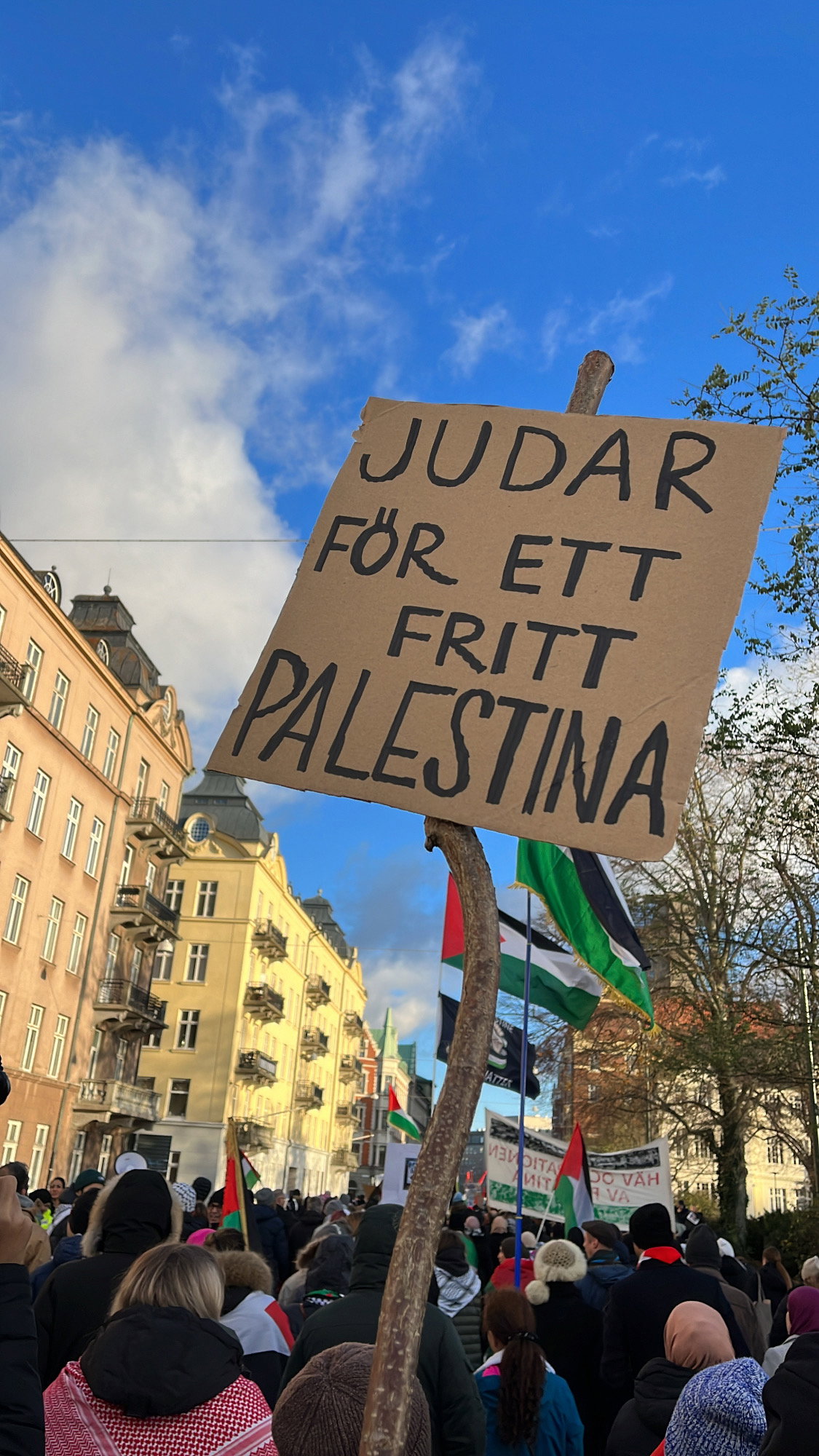 Inte sionist, men…
