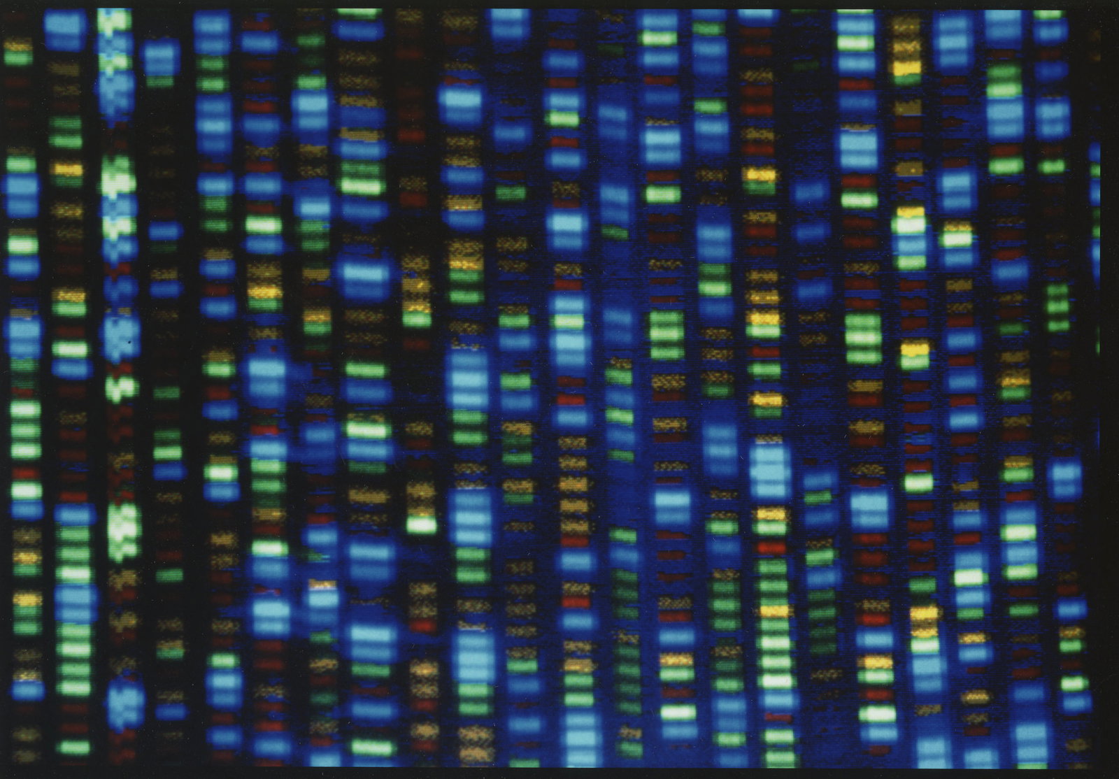 Skilj mellan sund genetik och rasbiologi