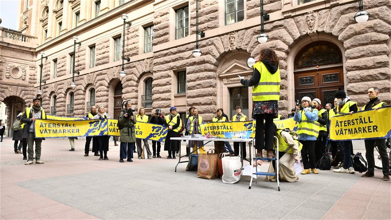 Organisationen Återställ våtmarker 
protesterar framför riksdagshuset den 24 april. Foto: Samuel Steén/TT.