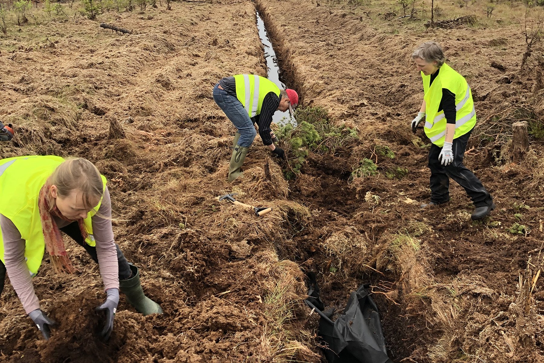 Klimataktivister arbetar med att fylla igen diken på Grimsås mosse. Foto: Återställ våtmarker.
