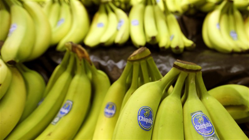 Enligt Fredrik Gertten bör man inte lita på bananbolagens egna certifieringar eftersom de bara innebär löften om att inte avverka urskog. Foto: Keith Srakocic/AP.
