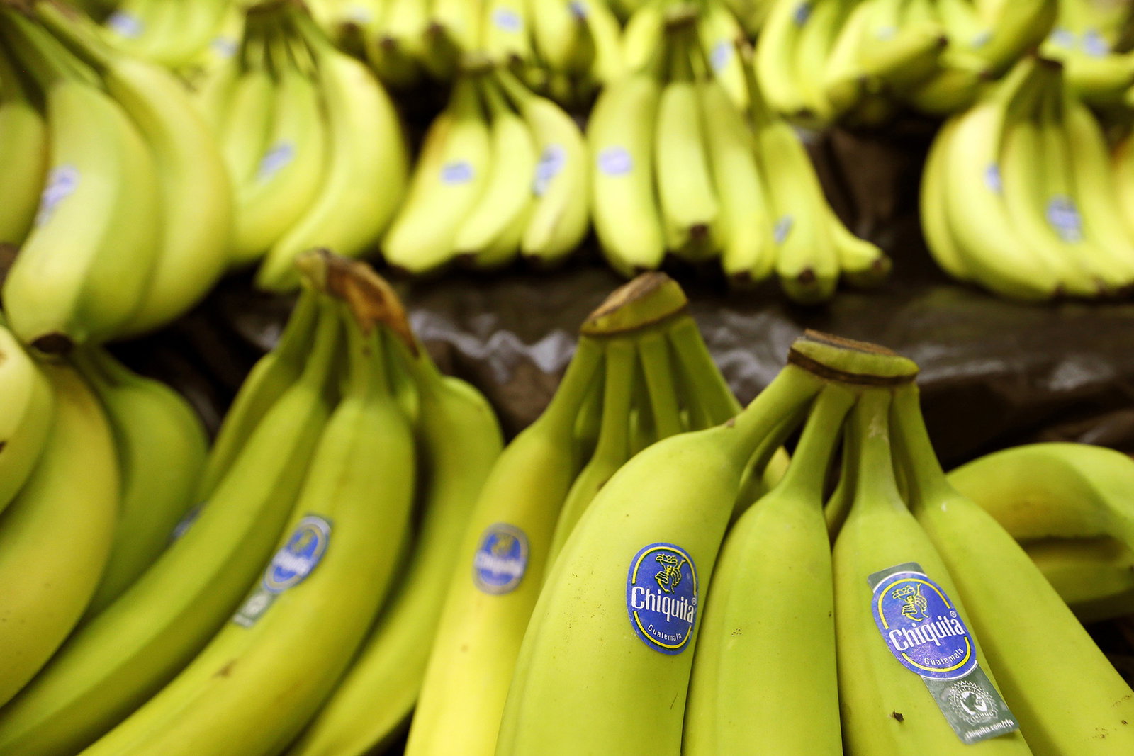 Chiquita-domen stoppar inte bananjättarnas brutalitet: ”Ond frukt”